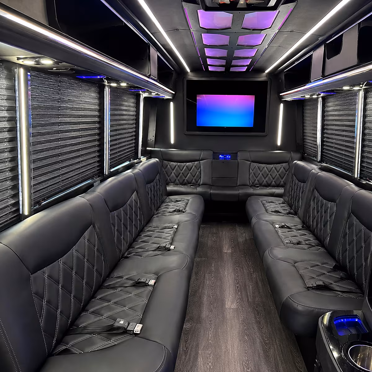 Bismarck Prom & Homecoming Transportation party bus interior